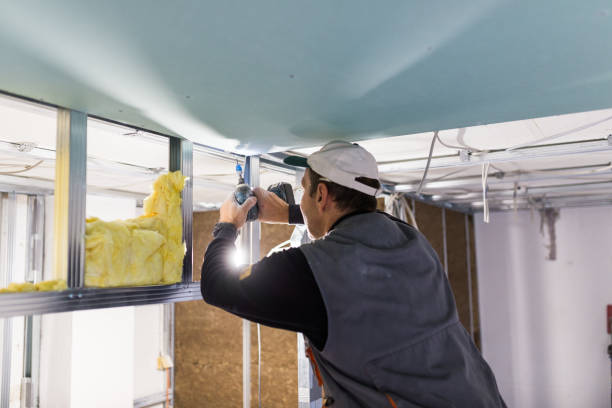 Types of Insulation We Offer in Big River, CA